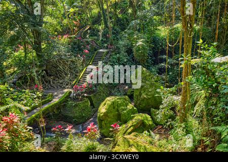 Un sentiero a piedi che conduce attraverso la lussureggiante foresta pluviale tropicale al Goa Gajah, il tempio indù di Ubud, Gianyar, Bali, Indonesia. Foto Stock