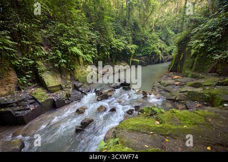 Vista dall'alto del fiume che scorre lungo un letto roccioso nella giungla alla cascata di Kanto lampo a Gianyar, Bali, Indonesia. Foto Stock