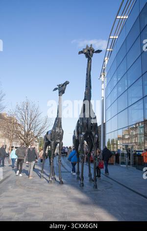 The Dreaming Spires Giraffe Sculptures a Edimburgo di Helen Denerley in Scozia nel Regno Unito Foto Stock