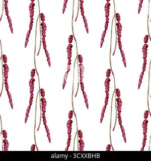 Motivo acquerello senza cuciture con fiori rosa amaranto su sfondo bianco. Ideale per la progettazione di tessuti, imballaggi, etichette di cosmetici naturali, cartoleria floreale e decorazioni botaniche Foto Stock