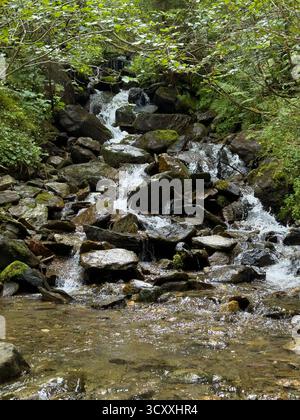 una cascata nel mezzo di una fitta foresta Foto Stock
