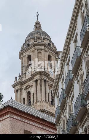 Malaga ESP, Themenbild Reisen, Malaga, Andalusia, 15.10.2025. Blick auf die Kathedrale Santa Iglesia Catedral Basilica de la Encarnacion ESP, Themenbild Reisen, Malaga, Andalusia, 15.10.2025. *** Malaga ESP, foto a tema viaggio, Malaga, Andalusia, 15 10 2025 Vista della cattedrale Santa Iglesia Catedral Basilica de la Encarnacion ESP, foto a tema viaggio, Malaga, Andalusia, 15 10 2025 Copyright: XEibner-Pressefoto/HeikexFeinerx EP HFR Foto Stock