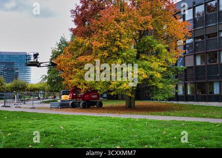Veicolo per la manutenzione dei ciliegi vicino al vivace albero d'autunno contro il moderno edificio per uffici nel parco urbano di Düsseldorf Germania Foto Stock