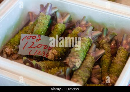 Wasabi Roots in vendita in un mercato giapponese, Tokyo, Giappone Foto Stock