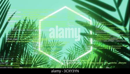 Visualizzazione di un brillante esagono neon che galleggia tra le fronde verdi del palmo, con righe di codice a cascata Foto Stock
