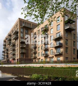 Nuovi condomini a Catford, Londra, Inghilterra sud-orientale, Regno Unito Foto Stock