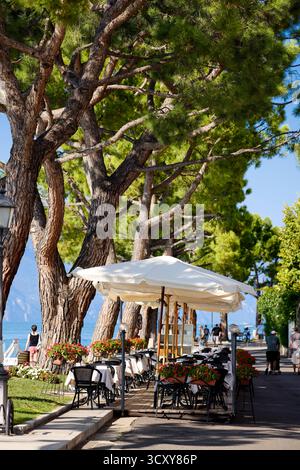 Torri del Benaco, Italia Foto Stock