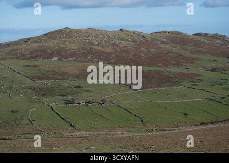 Brown Willy sul Bodmin Moor, il punto più alto della Cornovaglia, con le rovine di una fattoria e la Medieval Field Systems Foto Stock