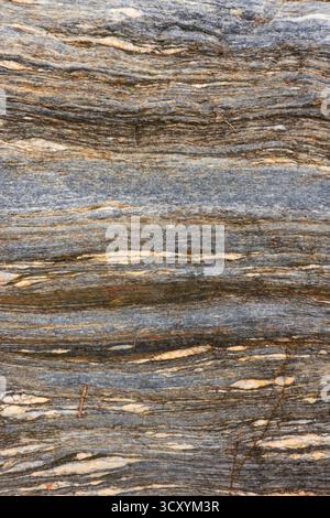 Primo piano della superficie rocciosa, bande gneissic, alternanza di minerali mafici e felsici Foto Stock