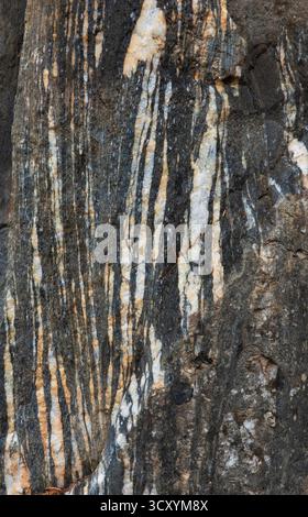 Primo piano della superficie rocciosa, bande gneissic, alternanza di minerali mafici e felsici Foto Stock