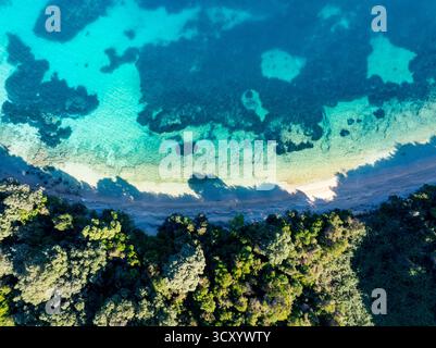 Un colpo aereo dall'alto verso il basso di una spiaggia isolata e incontaminata con una fitta foresta verde che incontra le limpide acque turchesi e blu profondo del mare, creando Foto Stock