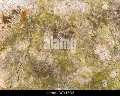 Vista dall'alto verso il basso di una superficie in cemento armato ricoperta di muschio verde e sporcizia. La superficie è dettagliata con crepe visibili e motivi naturali, che mostrano Foto Stock
