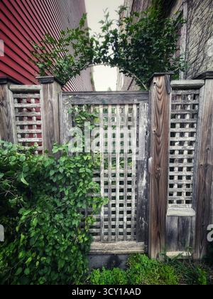 Cancello da giardino a reticolo in legno con fogliame ricoperto in uno stretto vicolo tra due edifici rossi e beige Foto Stock