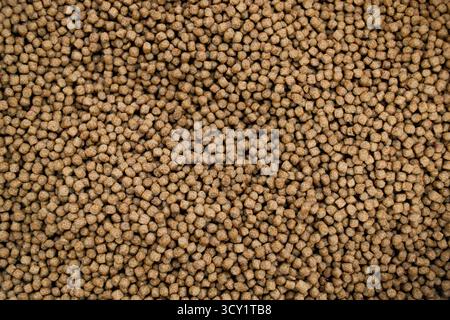 Pellet di alimento per pesci di qualità superiore in mano – Nutrition per acquacoltura Foto Stock