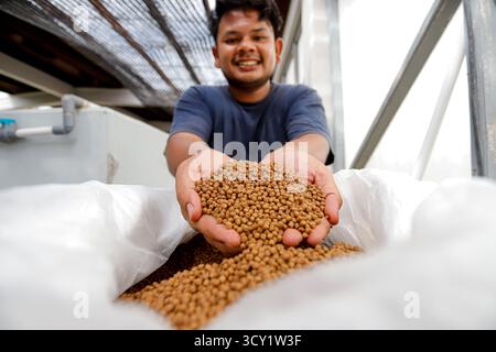 Pellet di alimento per pesci di qualità superiore in mano – Nutrition per acquacoltura Foto Stock