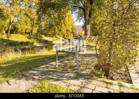 Panchina solitaria in un parco autunnale che si affaccia su un fiume sotto alberi dorati, Nagold, Foresta Nera, Germania Foto Stock