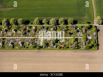 Veduta aerea, giardino di destinazione Uhlenhorst, Muenster, Muensterland, Renania settentrionale-Vestfalia, Germania, DE, Europa, giardino della comunità, giardino dell'assegnazione Foto Stock