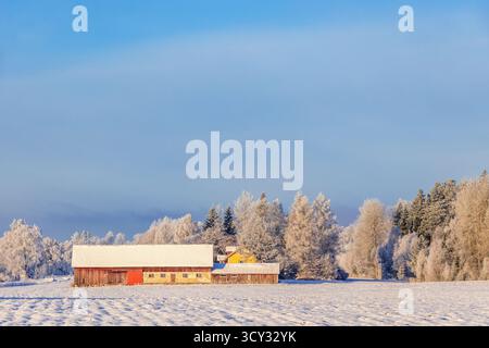 Fattoria vicino a un campo innevato una fredda giornata invernale in campagna Foto Stock