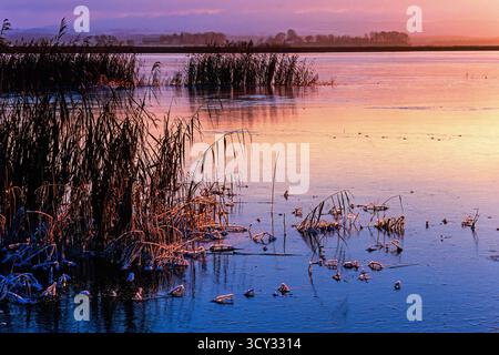 Tramonto su una riva ghiacciata con riflessi di colore sul ghiaccio Foto Stock