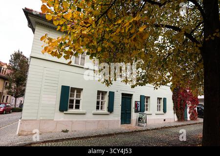 DAS Nietzsche-Haus a Naumburg Saale widmet sich dem Leben und Werk des Philosophen Friedrich Nietzsche. Im Sommer 1858 zog Nietzsches Mutter Franziska Nietzsche mit ihren zwei Kindern Friedrich und Elisabeth in das Haus Nr. 355, Heute Weingarten 18. SIE hatte im Obergeschoss eine helle, geräumigere Wohnung angemietet. 1878 kaufte sie das Haus und blieb hier bis zu ihrem Lebensende wohnen. Nachdem sie 1897 guerra gestorben, wurde das Haus von ihrer Tochter verkauft. Seit 1994 ist das Naumburger Nietzsche-Haus für die Öffentlichkeit zugänglich. In einer Dauerausstellung wird das Leben und Werk des Foto Stock