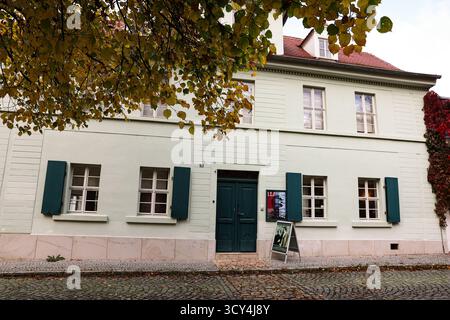 DAS Nietzsche-Haus a Naumburg Saale widmet sich dem Leben und Werk des Philosophen Friedrich Nietzsche. Im Sommer 1858 zog Nietzsches Mutter Franziska Nietzsche mit ihren zwei Kindern Friedrich und Elisabeth in das Haus Nr. 355, Heute Weingarten 18. SIE hatte im Obergeschoss eine helle, geräumigere Wohnung angemietet. 1878 kaufte sie das Haus und blieb hier bis zu ihrem Lebensende wohnen. Nachdem sie 1897 guerra gestorben, wurde das Haus von ihrer Tochter verkauft. Seit 1994 ist das Naumburger Nietzsche-Haus für die Öffentlichkeit zugänglich. In einer Dauerausstellung wird das Leben und Werk des Foto Stock