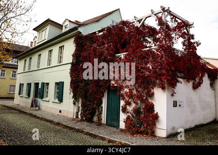 DAS Nietzsche-Haus a Naumburg Saale widmet sich dem Leben und Werk des Philosophen Friedrich Nietzsche. Im Sommer 1858 zog Nietzsches Mutter Franziska Nietzsche mit ihren zwei Kindern Friedrich und Elisabeth in das Haus Nr. 355, Heute Weingarten 18. SIE hatte im Obergeschoss eine helle, geräumigere Wohnung angemietet. 1878 kaufte sie das Haus und blieb hier bis zu ihrem Lebensende wohnen. Nachdem sie 1897 guerra gestorben, wurde das Haus von ihrer Tochter verkauft. Seit 1994 ist das Naumburger Nietzsche-Haus für die Öffentlichkeit zugänglich. In einer Dauerausstellung wird das Leben und Werk des Foto Stock