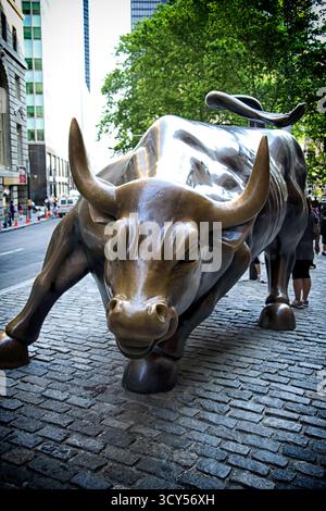 Arturo di Modica di ricarica della scultura di Bull a Bowling Green, Lower Manhattan, New York City Foto Stock