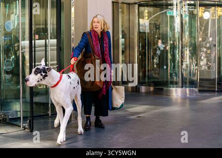 The Friend (2024) diretto da Scott McGehee e David Siegel e interpretato da Naomi Watts nel ruolo di Iris e Bing nel ruolo di Apollo. Uno scrittore solitario si lega con un grande danese ereditato da un amico scomparso, affrontando il dolore e riscoprendo la creatività. La pubblicità è ancora SOLO PER USO EDITORIALE. Credito: BFA / Bleecker Street Foto Stock