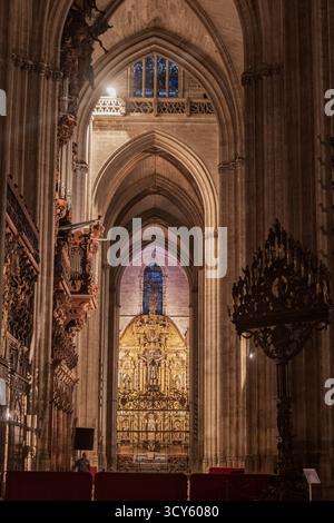 Cattedrale di Siviglia (Catedral de Santa Maria de la sede) interni gotici a Siviglia, Andalusia, Spagna. Foto Stock