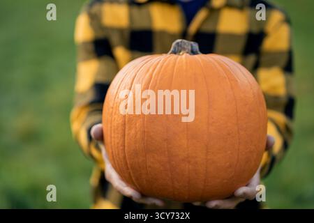 Ritratto di un giovane con la barba in un cappello arancione in un paesaggio autunnale. tenendo in mano una grande zucca. Foto Stock