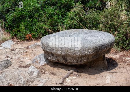 Grande masso piatto grigio utilizzato come banco, illuminato dalla luce del sole, su uno sfondo di cespugli verdi. Foto Stock