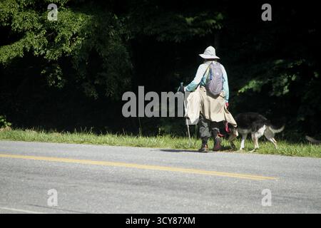 Virginia, Stati Uniti. Persona che cammina sul lato di una strada con un cane. Foto Stock