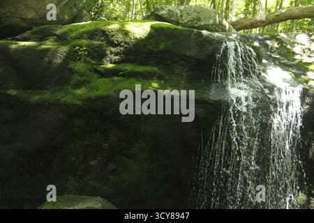 Cascata lungo Cornelius Creek nelle Blue Ridge Mountains, Virginia, USA Foto Stock