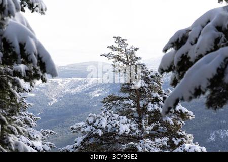 Paisaje nevado en la sierra de guadarrama en Madrid Foto Stock