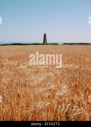 Kingswear Daymark / Tower un faro diurno ottagonale in pietra calcarea di 24 m (80 piedi) costruito in !864, Brownstone Kingswear, Devon Inghilterra Regno Unito Foto Stock