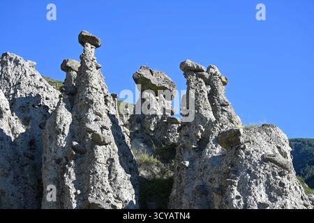 Funghi di pietra formazioni rocciose naturali nella riserva di Altai, Russia Foto Stock