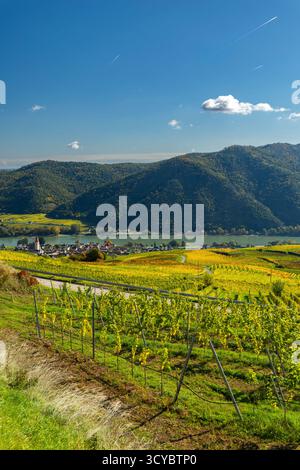 Vigneti della valle di Wachau in autunno che mostrano colori vivaci vicino al fiume Danubio con villaggio Foto Stock