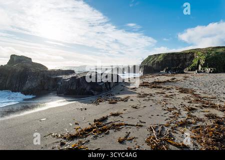 La scena costiera mostra le onde che si infrangono sulle rocce a Sheep Cove, Irlanda. La spiaggia di sabbia è coperta di alghe. Il cielo blu e alcune nuvole sono in alto. Foto Stock