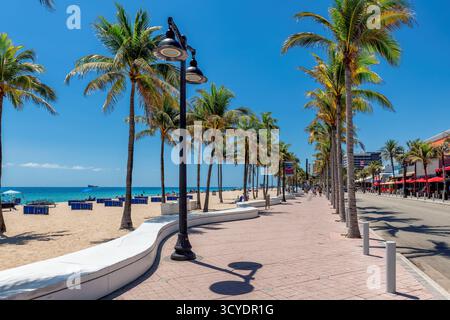 Bellissimo vicolo con palme sulla spiaggia tropicale di Fort Lauderdale Beach, Florida Foto Stock