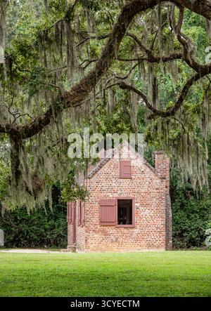Boone Hall Plantation è un quartiere storico situato a Mount Pleasant, Charleston County, South Carolina Foto Stock