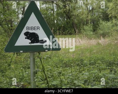 Segno verde con un'immagine in bianco e nero di un castoro e la parola Biber. Il cartello si trova in un'area boschiva Foto Stock