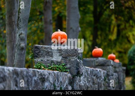 19 ottobre 2025, Renania settentrionale-Vestfalia, Königswinter: Le zucche sono poste su un muro. Foto: Thomas Banneyer/dpa Foto Stock