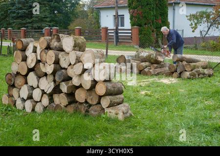 uomo anziano che usa una motosega per tagliare legna come carburante in preparazione alla prossima stagione invernale della contea di zala in ungheria Foto Stock