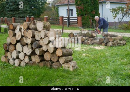uomo anziano che usa una motosega per tagliare legna come carburante in preparazione alla prossima stagione invernale della contea di zala in ungheria Foto Stock