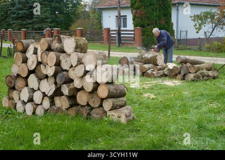 uomo anziano che usa una motosega per tagliare legna come carburante in preparazione alla prossima stagione invernale della contea di zala in ungheria Foto Stock