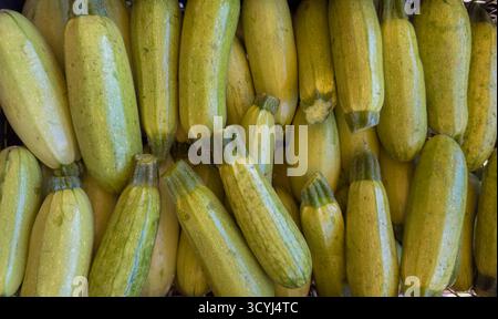 Vista ravvicinata delle zucchine verdi fresche disposte in modo ordinato, evidenziando la consistenza e il colore naturale. Foto Stock