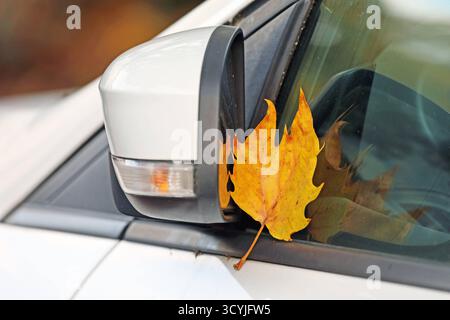 Laub am Rückspiegel am Außenspiegel eines Autos Hat sich ein Platanenblatt verfangen. *** Lascia sullo specchio retrovisore Una foglia di platano è rimasta incastrata sullo specchio retrovisore di un'auto Foto Stock