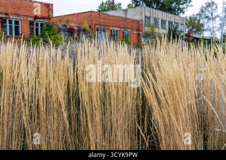 Un'ampia e leggermente rialzata vista di un grande e trafficato impianto portuale industriale, caratterizzato da lunghe file di container blu e bianchi, strade asfaltate e sca Foto Stock