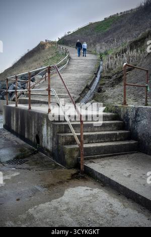 coppia più anziana con un cane che arrampica sul sentiero costiero overstrand, norfolk settentrionale, inghilterra Foto Stock