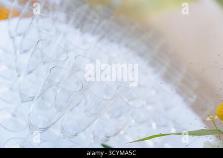 Ampia scelta di bicchieri da champagne ben organizzati in file. Gli occhiali creano un'atmosfera elegante e sofisticata, perfetta per festeggiamenti e. Foto Stock